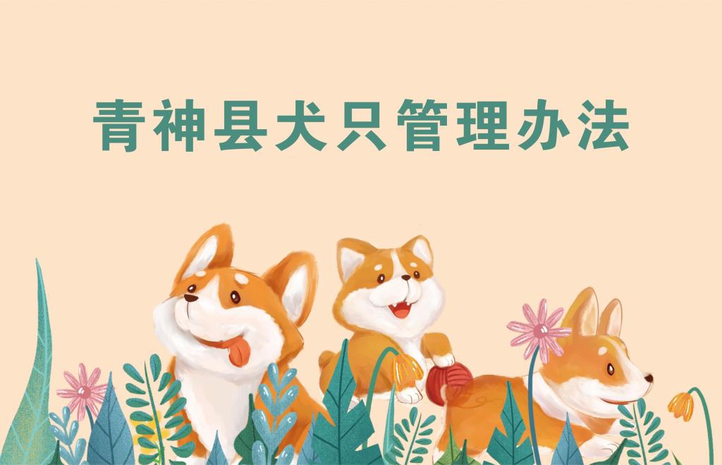 圖解《青神縣犬只管理辦法》
